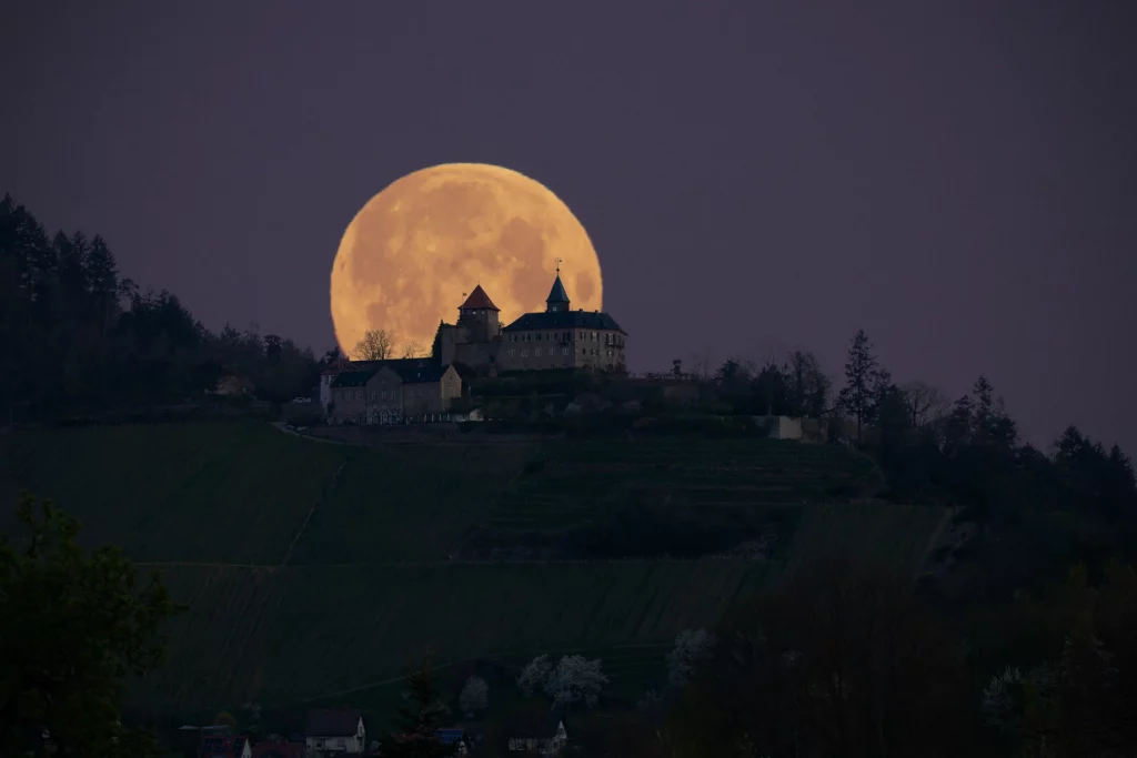 95169aa5-8d4e-4b55-8094-b1b3801c62fb_rw_1920