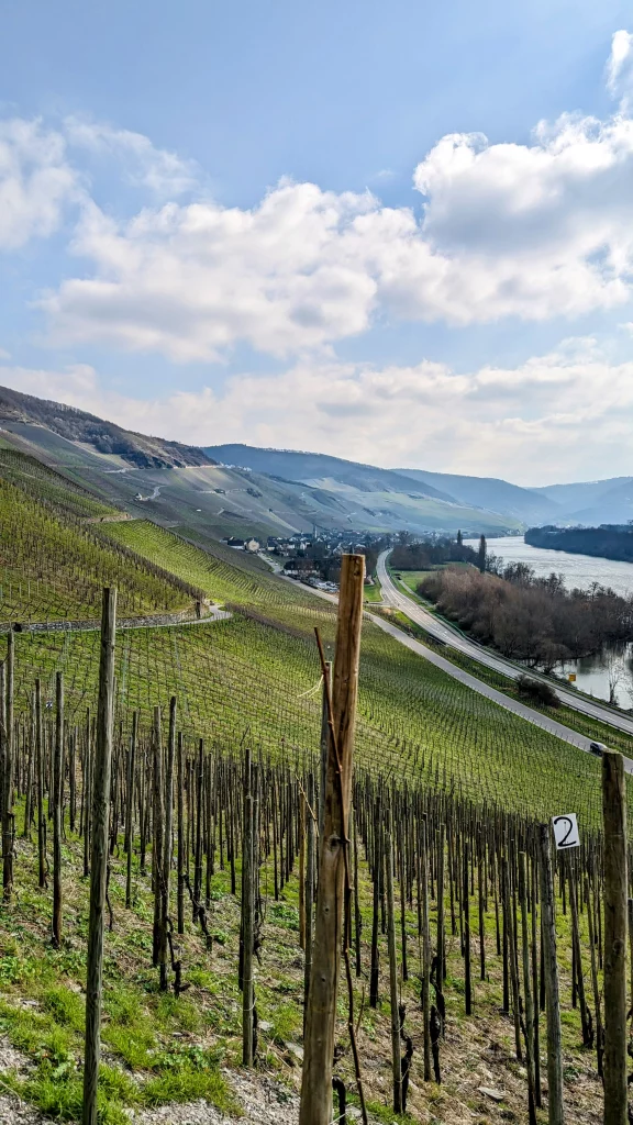 PXL_20240307_120317782.MP~2